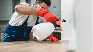 Best Real Estate Pest Inspections  in Sun City, AZ